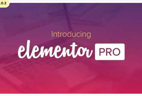 Elementor Pro Wilth Licence Key